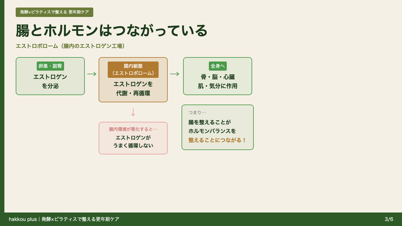 腸とホルモンはつながっている